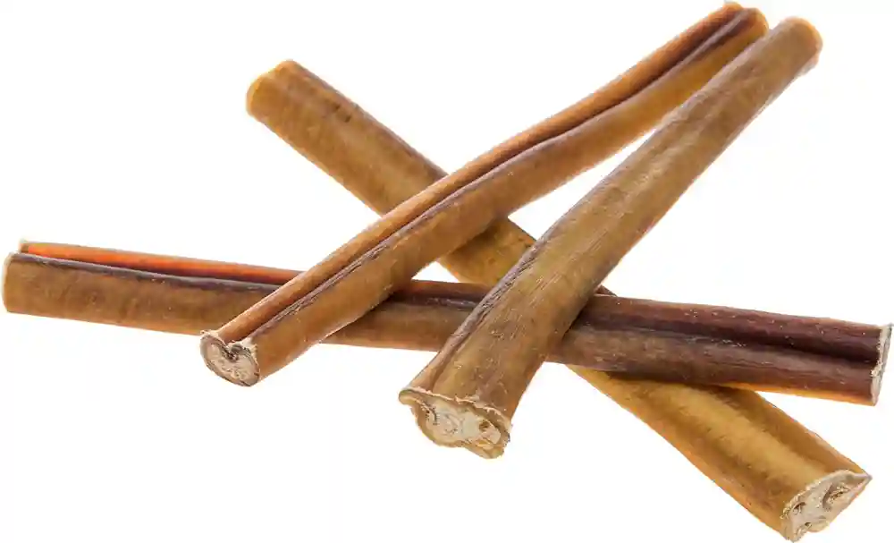 Bully Stick - 9"