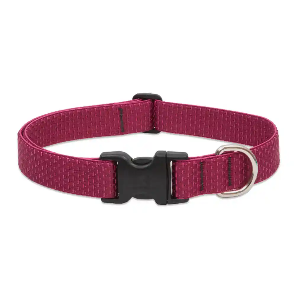 Lupine 1" Berry 16"-28" Adj. Collar