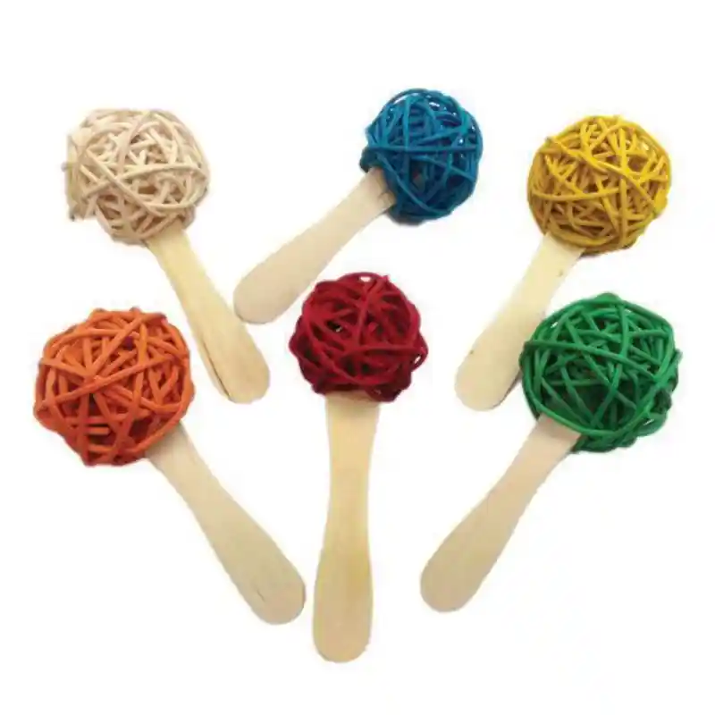 Ae Java Popsicle Bird Toy 6pck