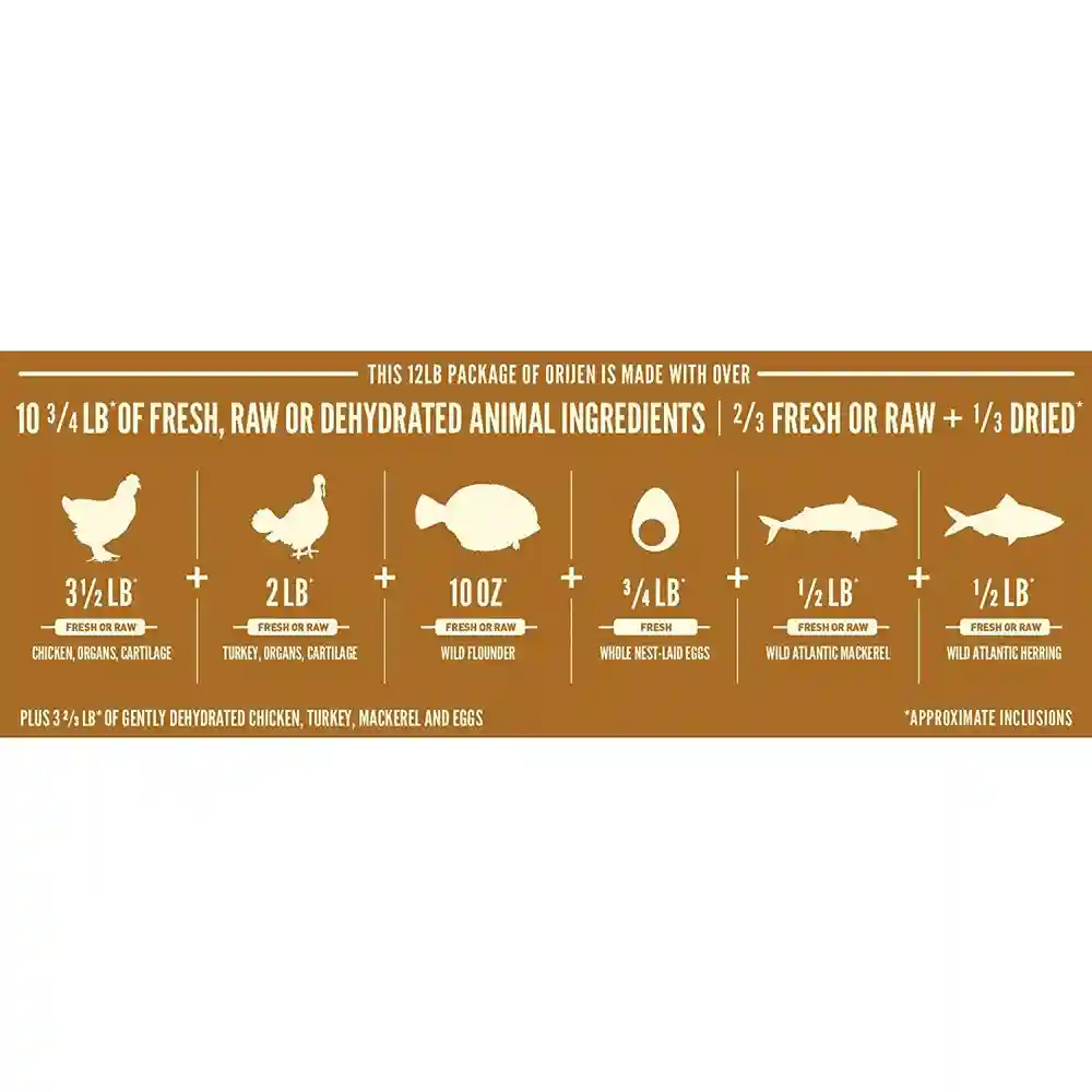 Dry Cat Food, Cat & Kitten, Biologically Appropriate & Grain Free 12-oz