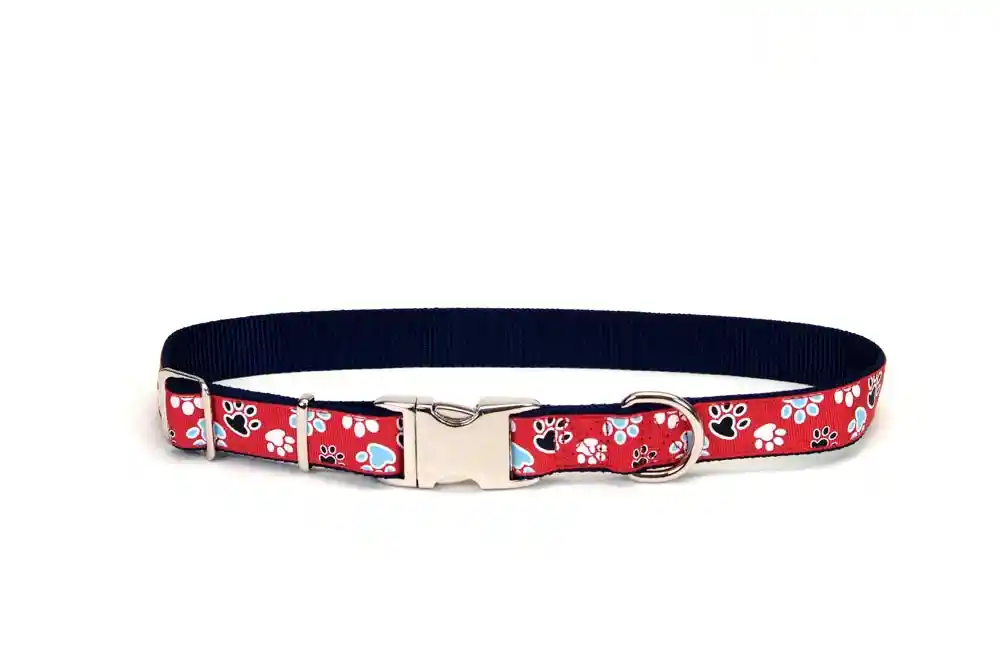 Adjustable Dog Collar With Metal Buckle, Red With Paws, 5/8" X 08"-12"