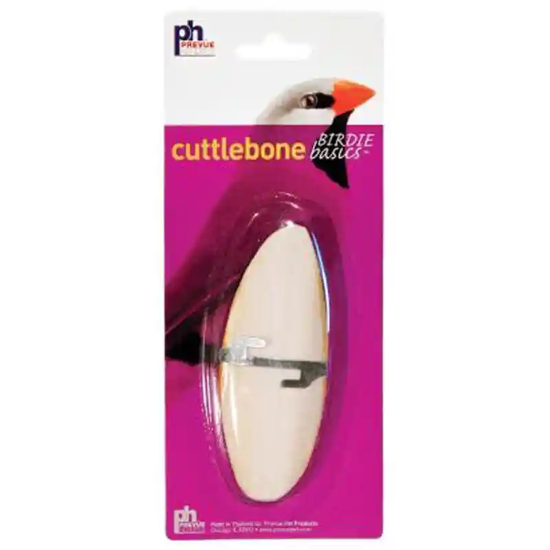 Cuttlebone Small 4-5' Simple