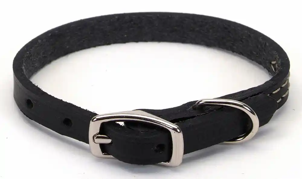 Oak Tanned Leather Town Dog Collar, Black, 3/8" X 12"