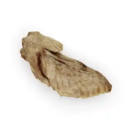 Raw Bar Freeze-dried Turkey Wing Treat For Dogs 1 Wing
