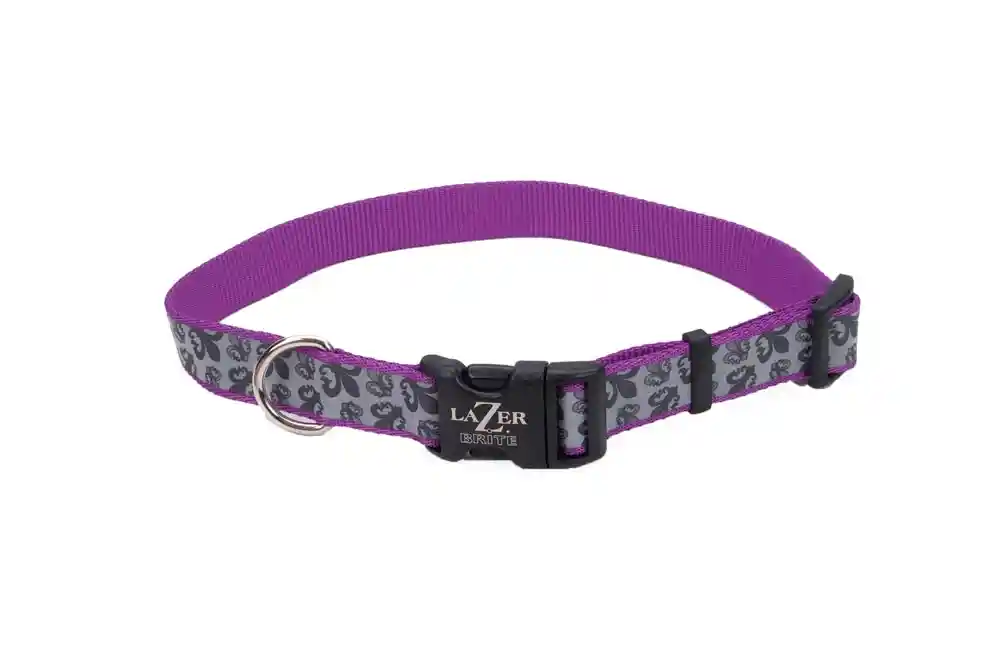 Lazer Brite Reflective Collar 1"x28" Fleur D Lis