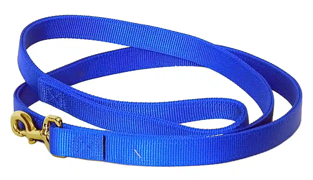 Double-ply Dog Leash, Blue, 1" X 06'