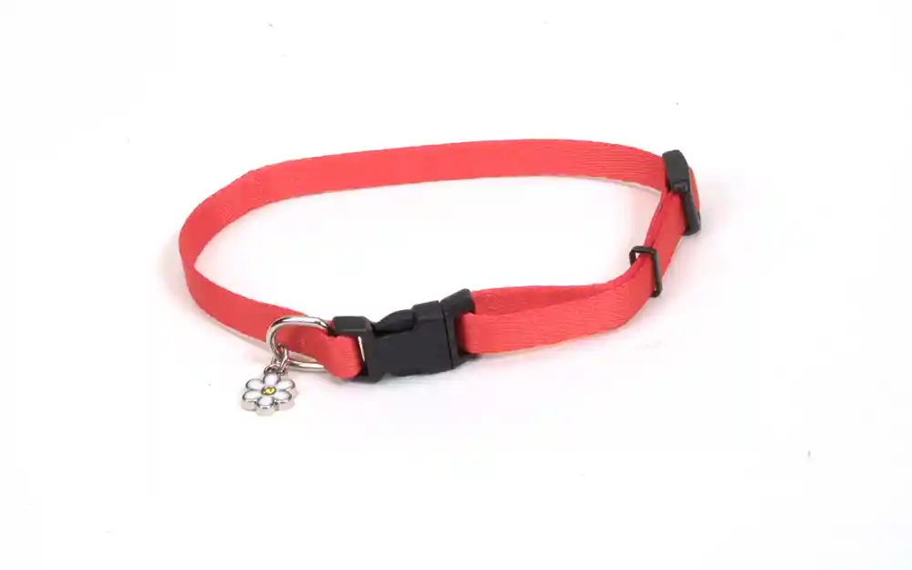 Adjustable Dog Collar, Red, 3/8" X 06"-08"