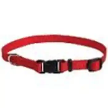 Adjustable Dog Collar With Plastic Buckle, Red, 3/8" X 8"-12"