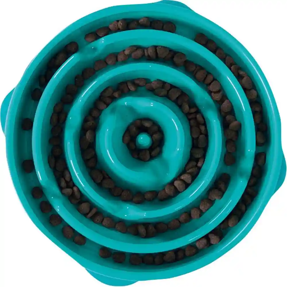 Slo-bowl Slow Feed Teal 5 Cup