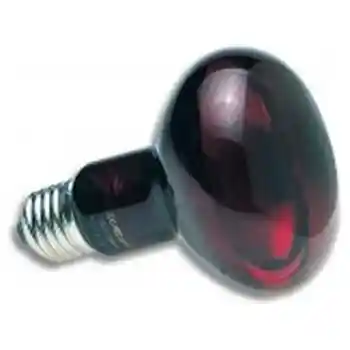 Nocturnal Infrared Heat Lamp 100 Watt Bulb