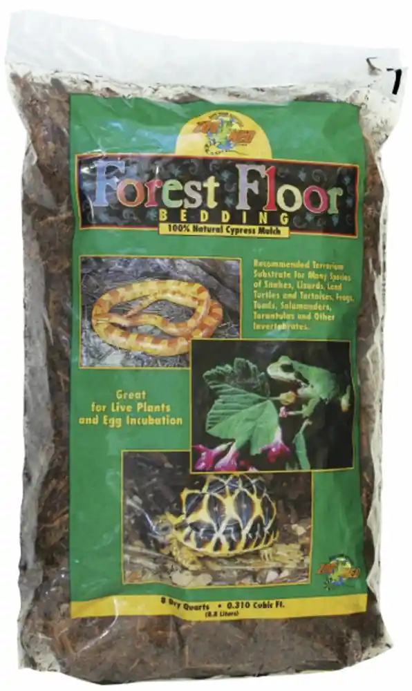 Zoomed Forest Floor Bedding 8 Quart