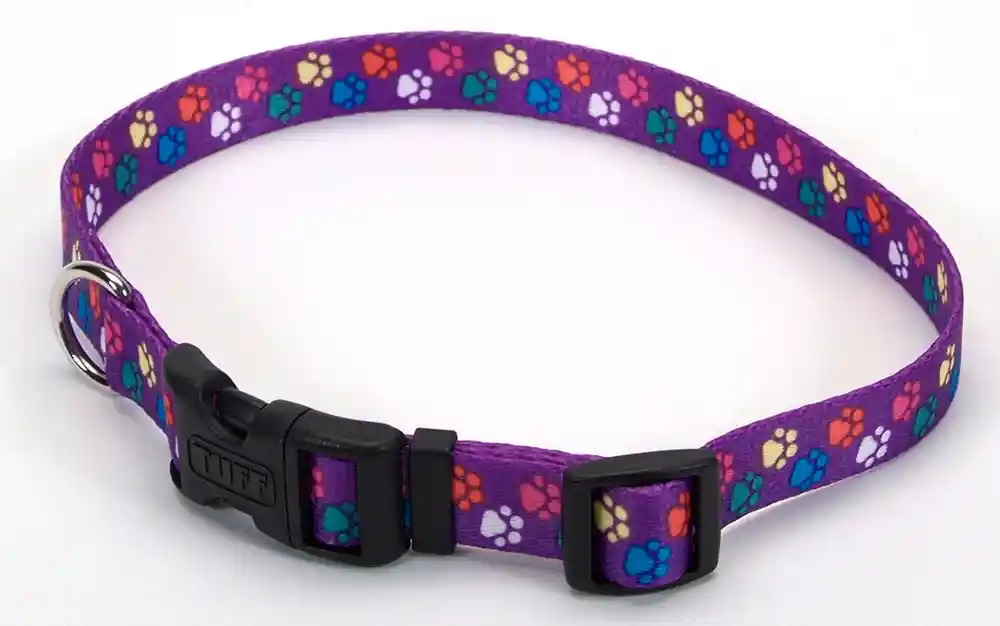 Adjustable Dog Collar, Special Paws, 5/8" X 10"-14"