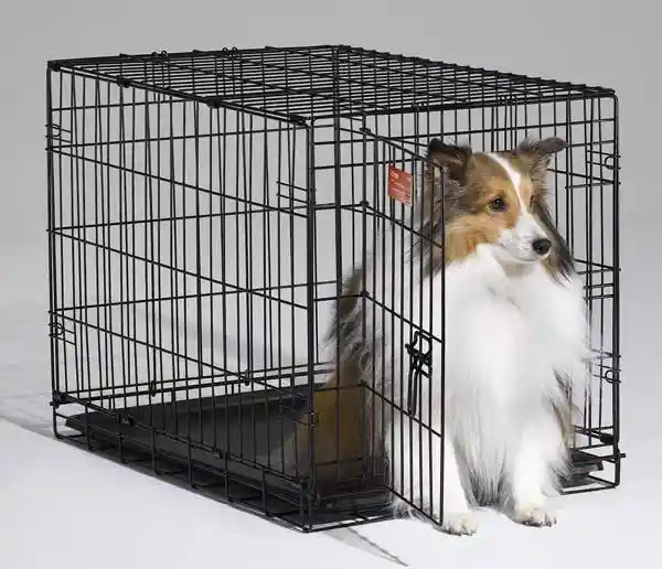 I-crate Single Door Folding Dog Crate 30"x19"x21"