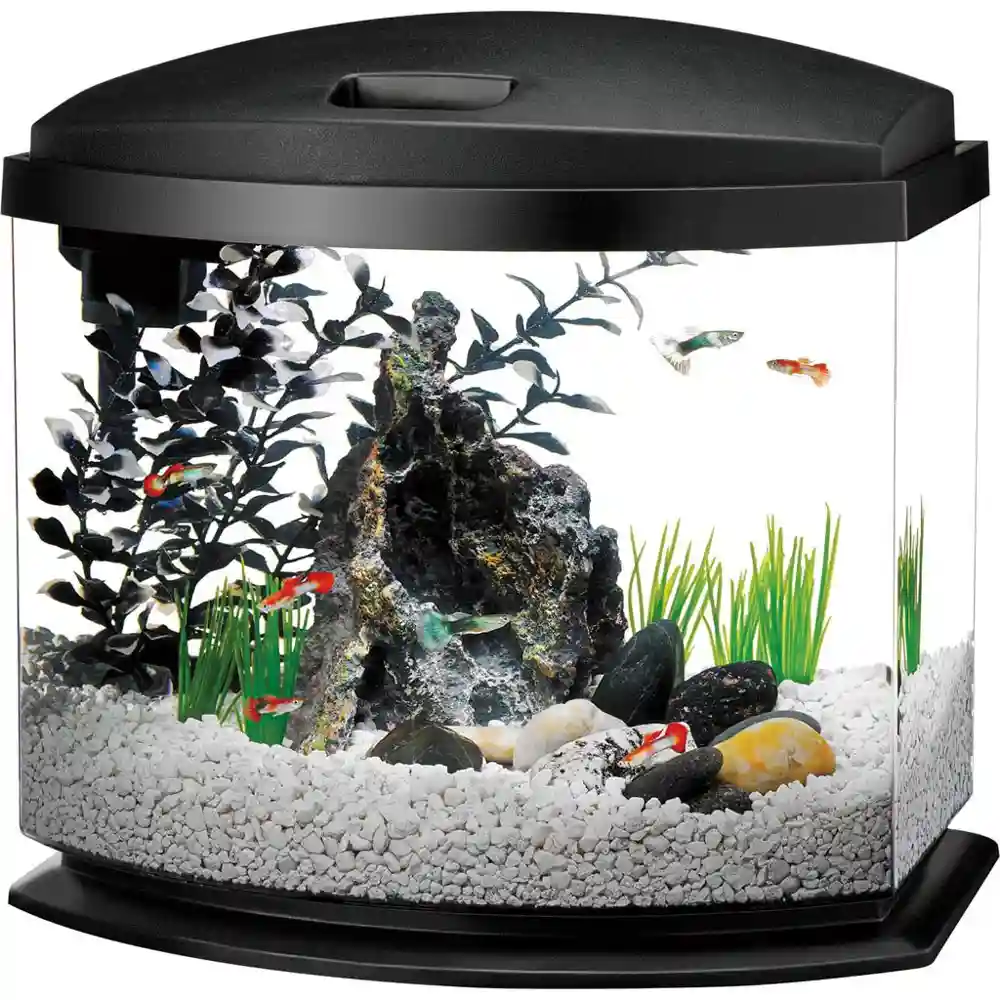Aqueon Led Mini Bow Aquarium Kit Black 5 Gallon