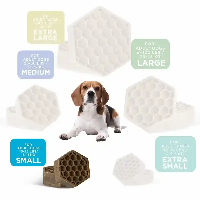 Yummy Combs Sm Hexi 14-2ct 4cs