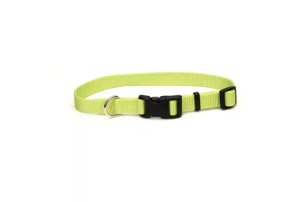 Adjustable Dog Collar With Plastic Buckle, Lime, 5/8" X 10"-14"