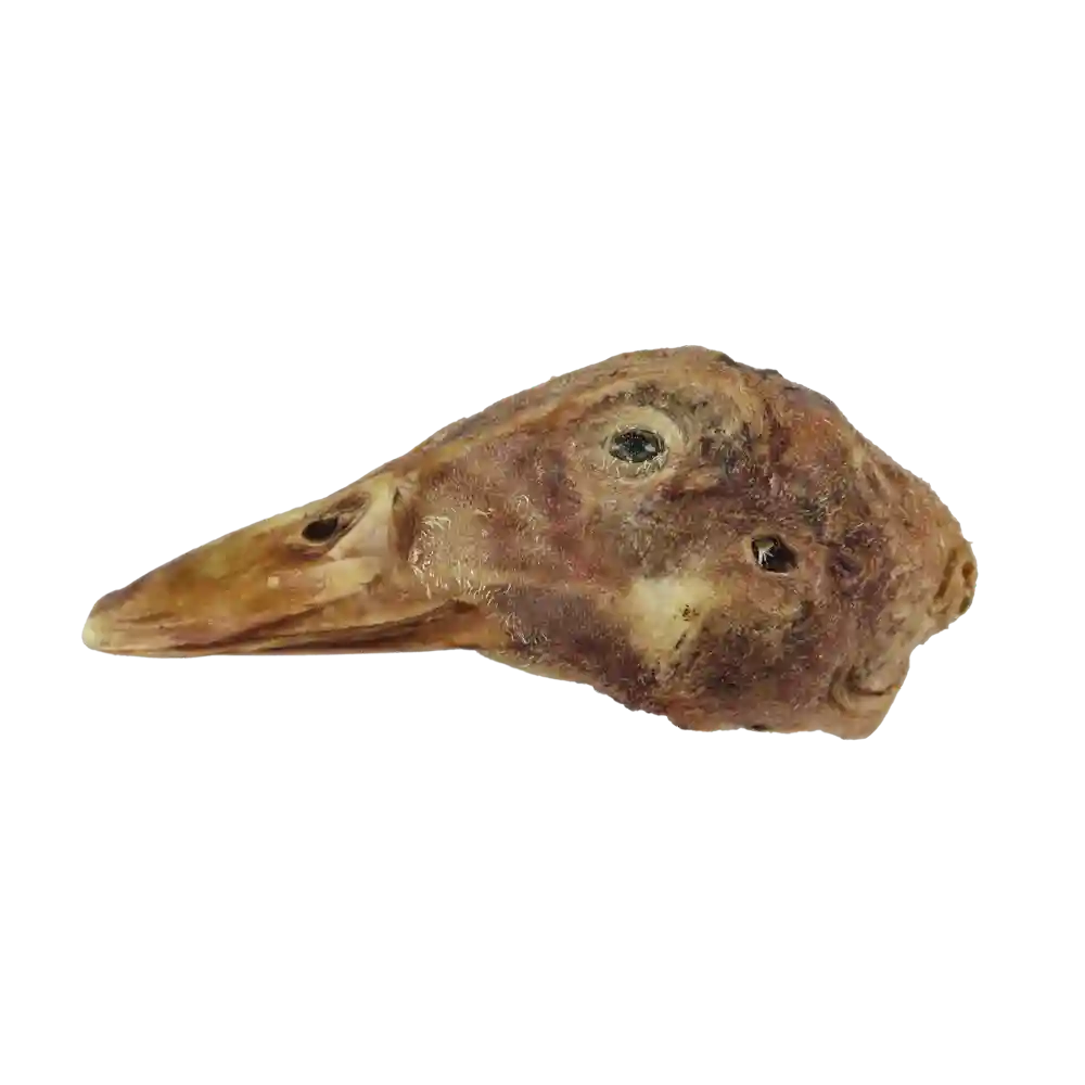 Raw Bar Freeze-dried Duck Head Treat For Dogs 1 Duck Head
