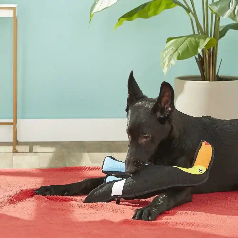 Zoo Togo Toucan Dog Toy L