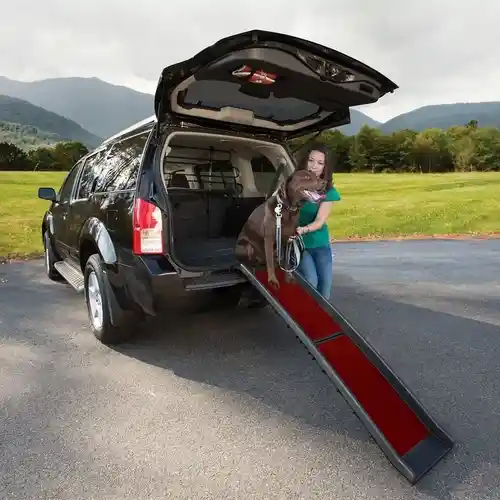 Kurgo D Wander Ramp
