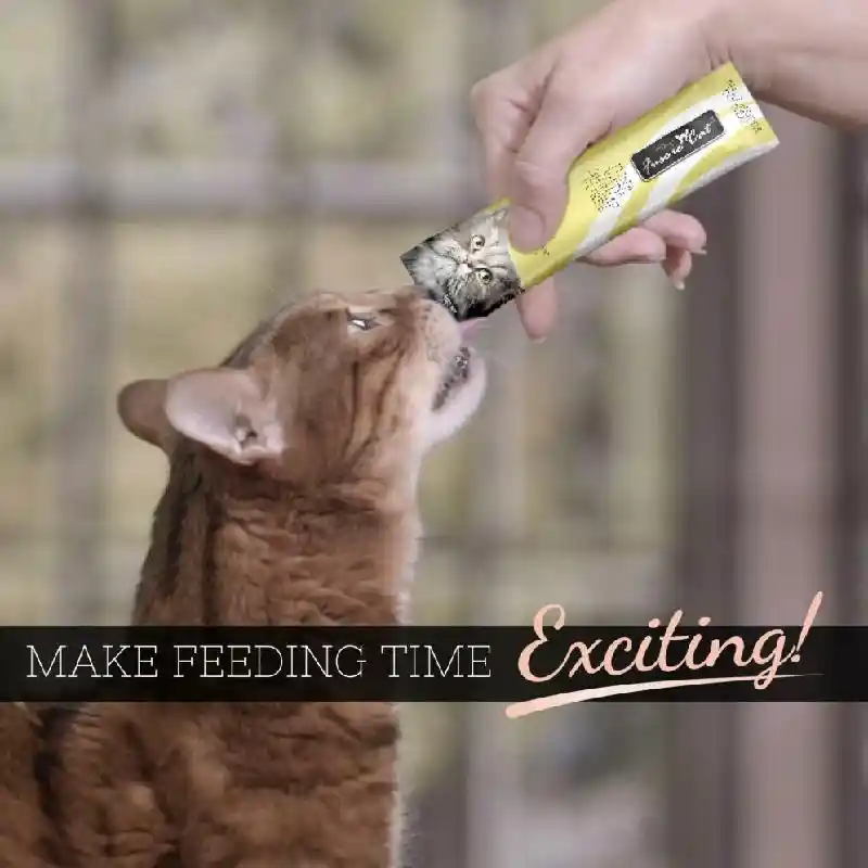 Fussie Cat Tuna & Shrimp Puree .5-oz 4-pk