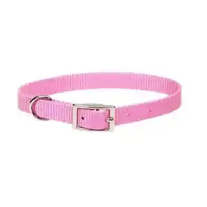Single-ply Dog Collar, Pink Bright, 5/8" X 14"