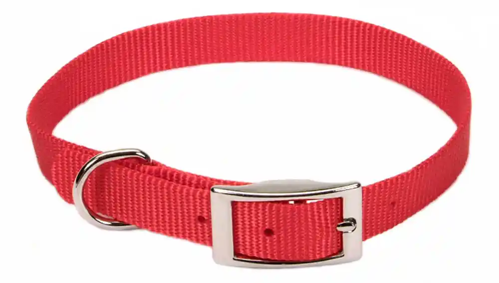 Single-ply Dog Collar, Red, 5/8" X 14"