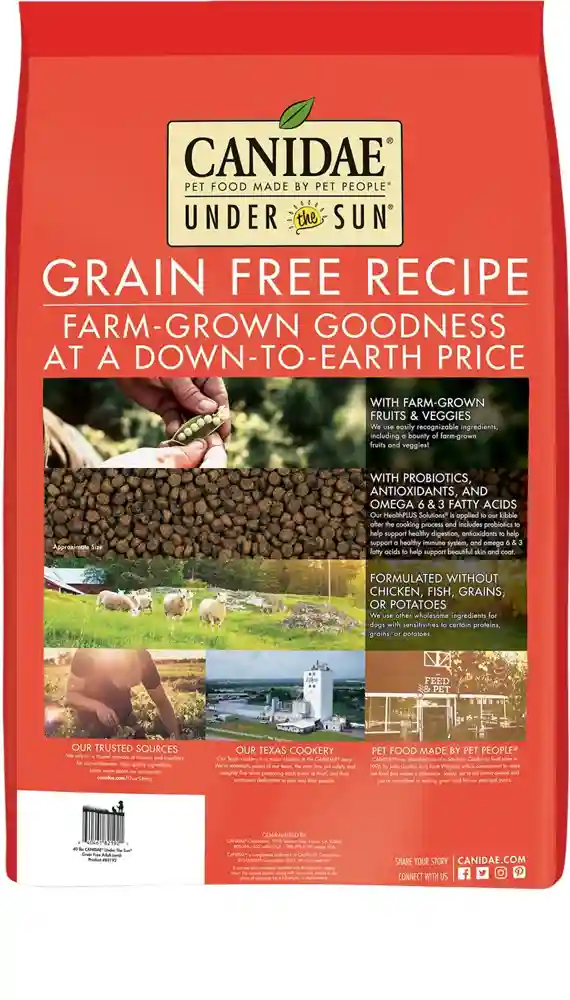 Under The Sun Grain-free Lamb Recipe Adult Dry Dog Food 4-lb