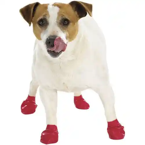 Waterproof Dog Boots, Red, 12 Count Small