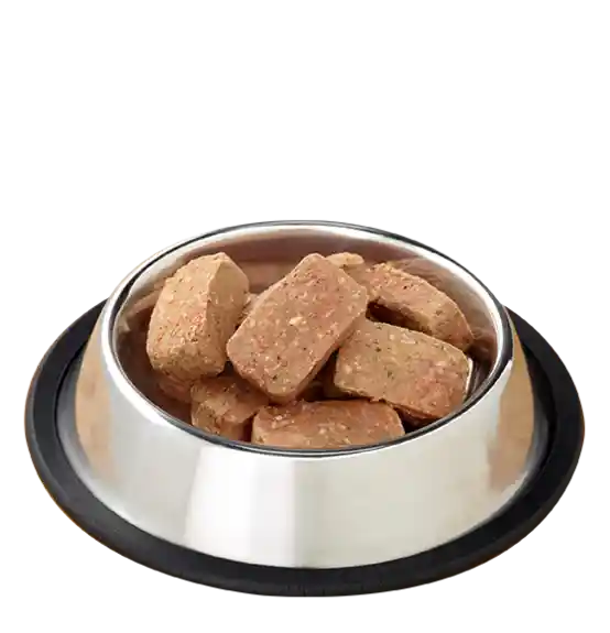 Raw Frozen Canine Duck Formula Nuggets Dog Food 6-lb