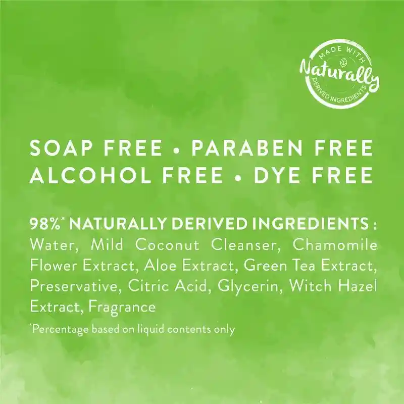 Watermelon 2 In 1 Wipes - 100 Ct