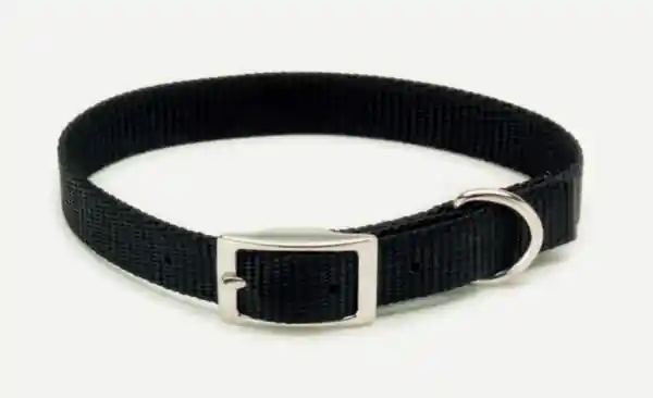 Single-ply Dog Collar, Black, 5/8" X 16"
