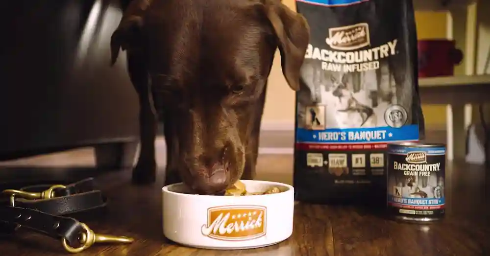 Backcountry Hero's Banquet Stew Grain-free Canned Dog Food 12.7-oz