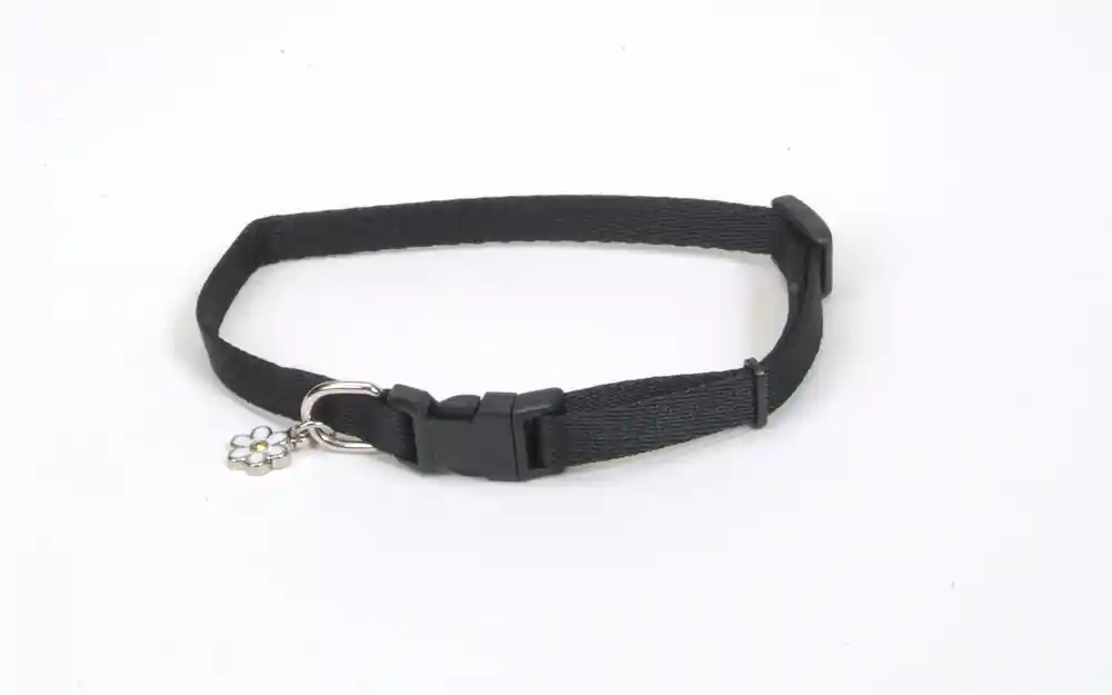 Adjustable Dog Collar, Black, 3/8" X 06"-08"