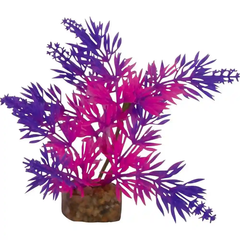 Tet Plnt Glofish Flo Pr/pk Sm