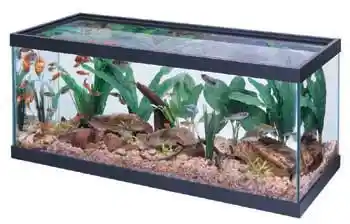 Aga 20 Gallon Long Black Trim Aquarium 30x12x12"