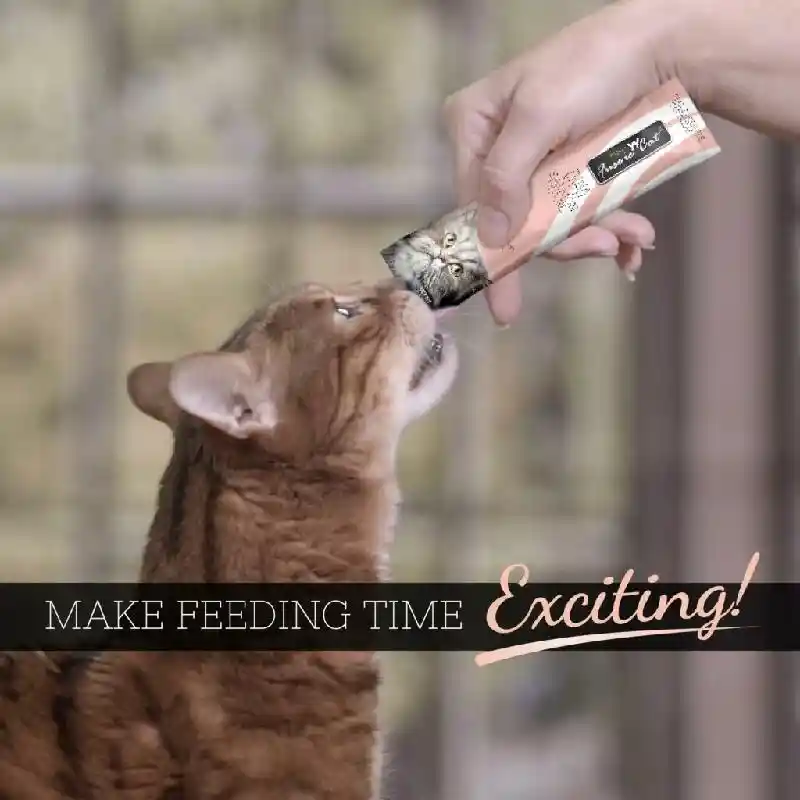 Fussie Cat Tuna Salmon Puree .5-oz 4-ct