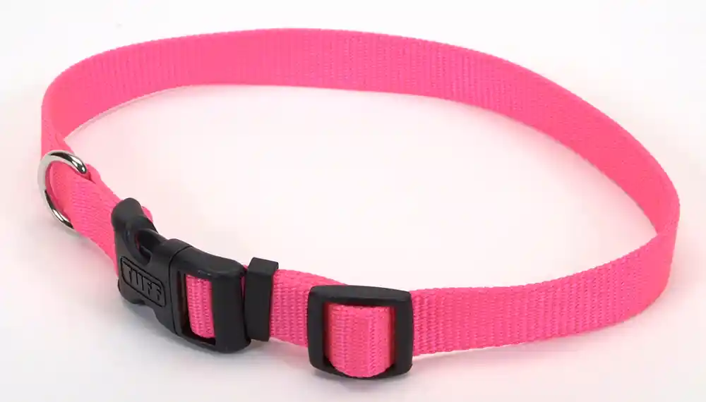 Adjustable Dog Collar With Plastic Buckle, Neon Pink, 1" X 18" - 26"