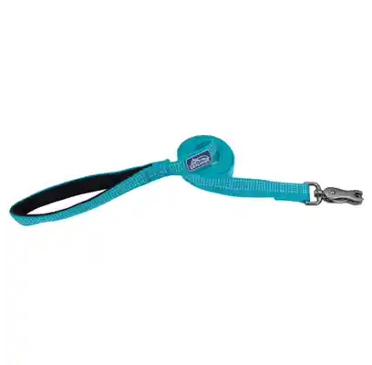 Brights Reflective Dog Leash, Ocean, 1" X 06'