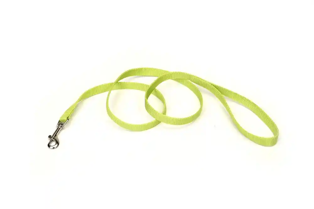 Single-ply Dog Leash, Lime, 5/8" X 6'