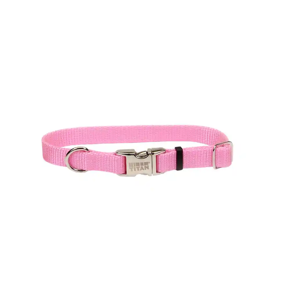 Adjustable Dog Collar With Metal Buckle, Pink Bright, 3/4" X 14" - 20"