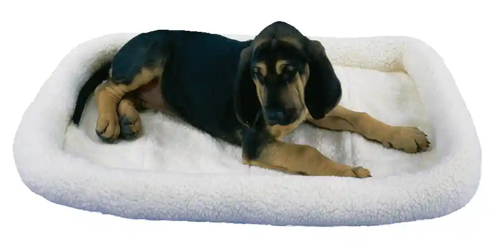 Snoozy Fleece Bed 25"x20"