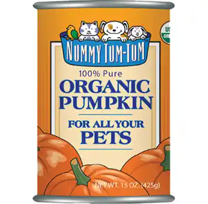 Nummy Tum Tum Organic Canned Pumpkin Dog 15 Oz