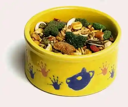 Petware Dish Hamster