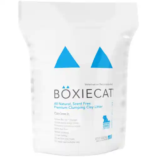 Boxie C Scnt Free Prm 16#