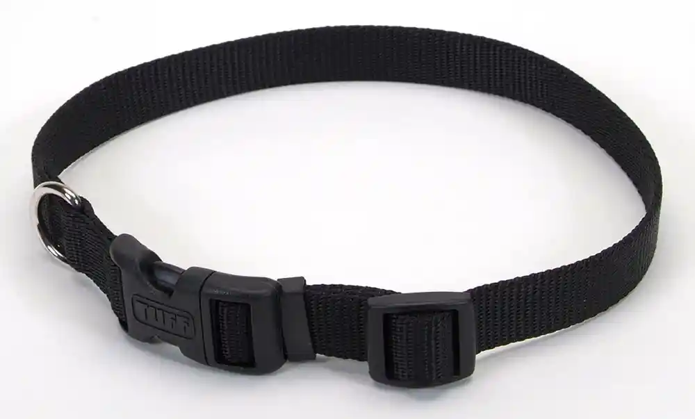 Adjustable Dog Collar With Plastic Buckle, Black, 1" X 14" - 20"