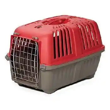 1422spr Spree Red Pet Carr 22"