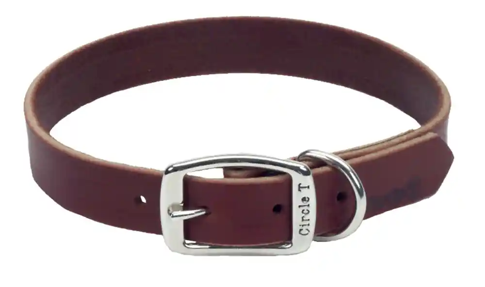 Latigo Leather Town Dog Collar, Latigo, 1" X 18"