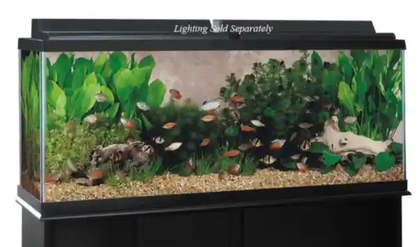 Pf 55 Gallon Tank 48"x13"x20"-black