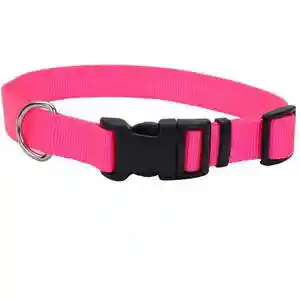 Adjustable Dog Collar With Plastic Buckle, Neon Pink, 3/8" X 8"-12"