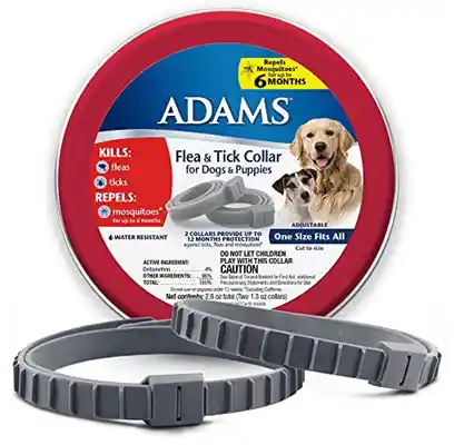 Adams+ F&t Collar Dog 20